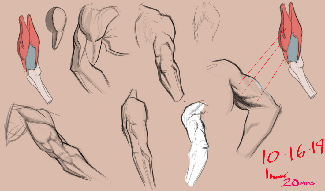 2019-10-17 04_50_13-CLIP STUDIO PAINT